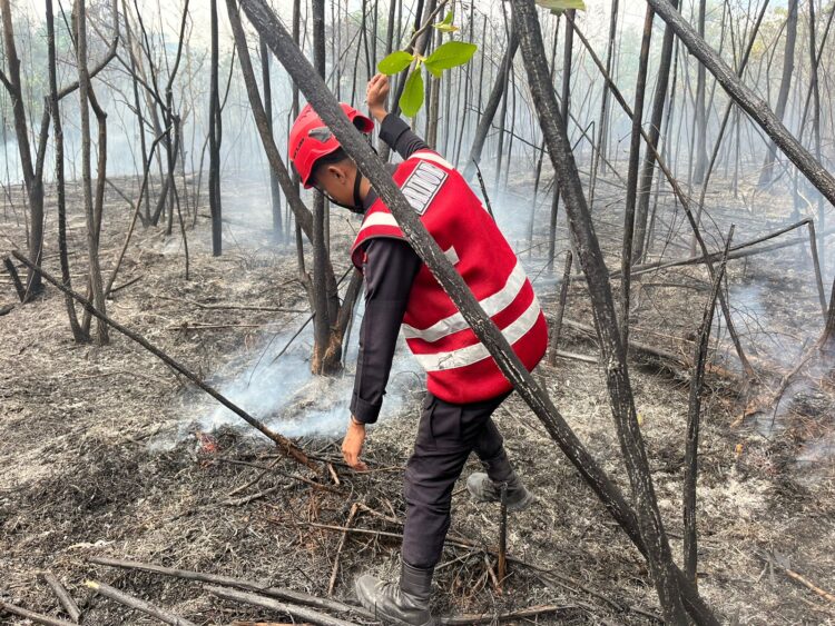 Respon Cepat, Batalyon A Pelopor Brimob Kaltim Padamkan Karhutla di Sepinggan