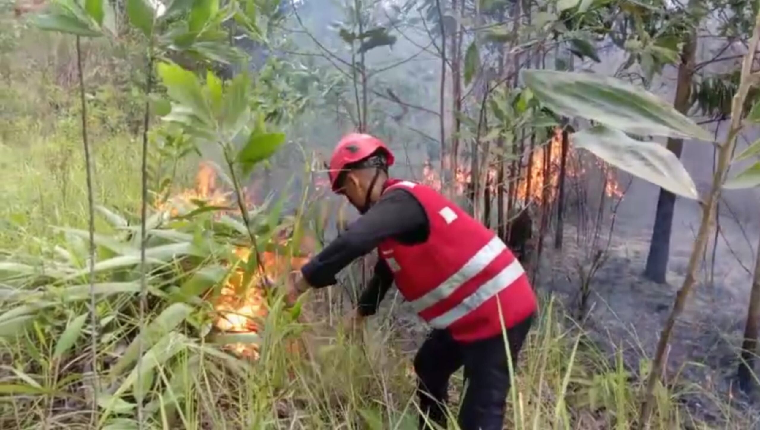 Respon Cepat, Batalyon A Pelopor Brimob Kaltim Padamkan Karhutla di Sepinggan