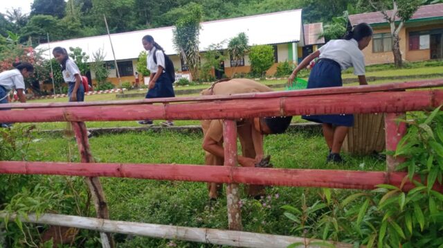 Libur Idul Fitri 1445 H/2024, Kepsek Beserta Guru SD-SMPN Satap Waikajanga Kerja Bakti di Hari Pertama Masuk Sekolah