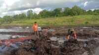 Babinsa Pahunga Lodu Bantu Petani Bajak Sawah Dengan Traktor