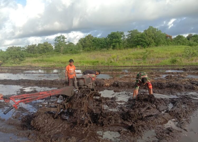 Babinsa Pahunga Lodu Bantu Petani Bajak Sawah Dengan Traktor