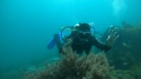 Fun Tryp Diving, Kapolres Bima AKBP Eko Sutomo S.I.K., M.I.K., Kagumi Wisata Bawah Laut Sorinehe Kolo