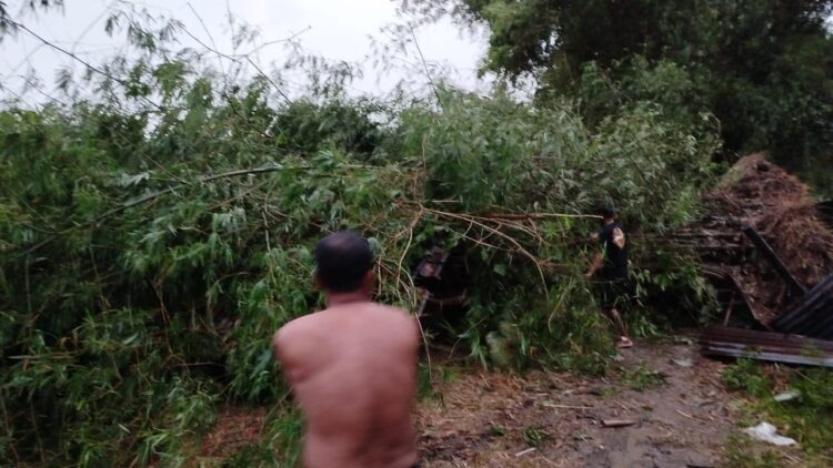 Seorang Tewas, 2 Pria Tertimpa Barongan Bambu Ambruk Tempatnya Berteduh