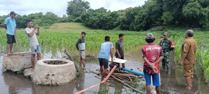 Babinsa Pinupahar Bersama Kades dan Warga Kuras Genangan Air Di Kebun Jagung