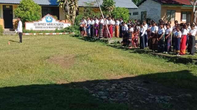 Peserta Upacara Hari Pendidikan Nasional (HARDIKNAS) Tahun 2024 di SD-SMPN Satap Waikajanga Berpakaian Adat
