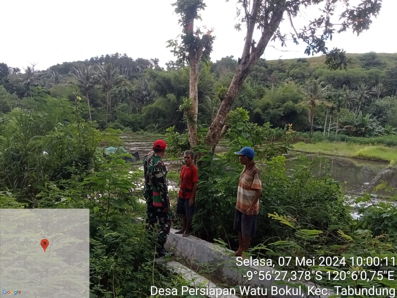 Babinsa Koramil 04/Tabundung dan Tokoh Masyarakat Survei Lahan Sawah Tadah Hujan