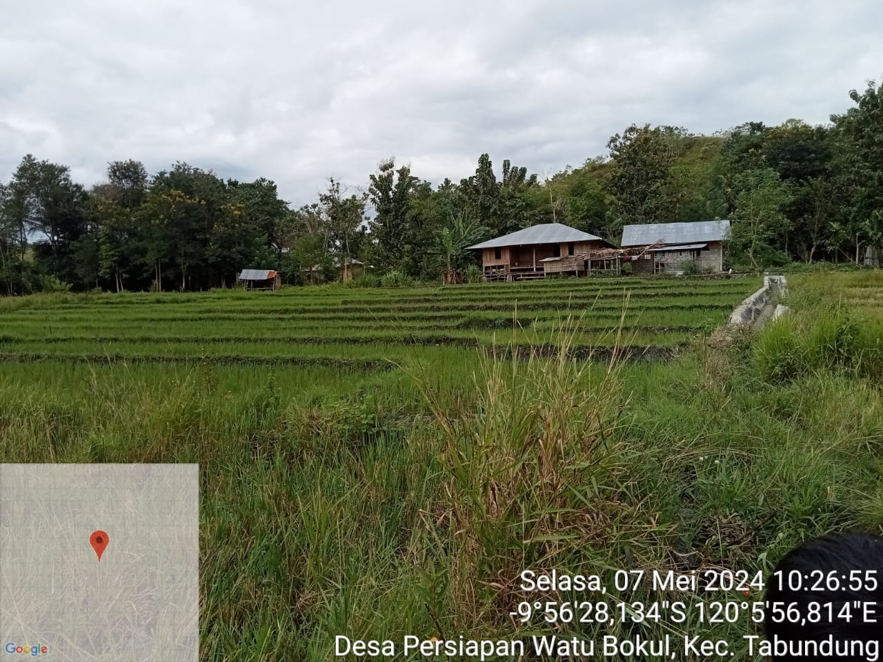 Babinsa Koramil 04/Tabundung dan Tokoh Masyarakat Survei Lahan Sawah Tadah Hujan