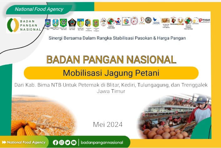 Kabupaten Bima Kirim 275 Ton Jagung Ke Pulau Jawa
