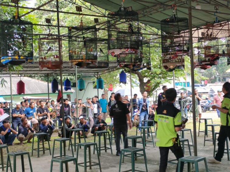 Dandim Cup Kicau Mania Kodim 0607/ Kota Sukabumi dalam Rangka HUT Kodam III / Siliwangi di Kota Sukabumi Dandim Cup Kicau Mania Kodim 0607/ Kota Sukabumi dalam Rangka HUT Kodam III / Siliwangi di Kota Sukabumi