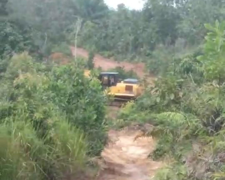 Diduga Aksi Tambang Ilegal di Daerah Samboja Barat Mulai Lagi Diduga Aksi Tambang Ilegal di Daerah Samboja Barat Mulai Lagi