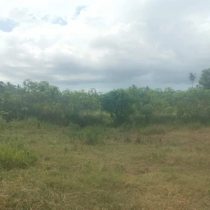 Babinsa dan Kelompok Tani Umatana Bersinergi untuk Ketahanan Pangan Melalui Pompanisasi