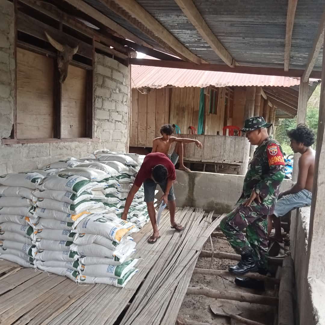Pastikan Beras Bantuan Tepat Sasaran, Babinsa Tabundung Kawal dan Pengawasan Pendropingan