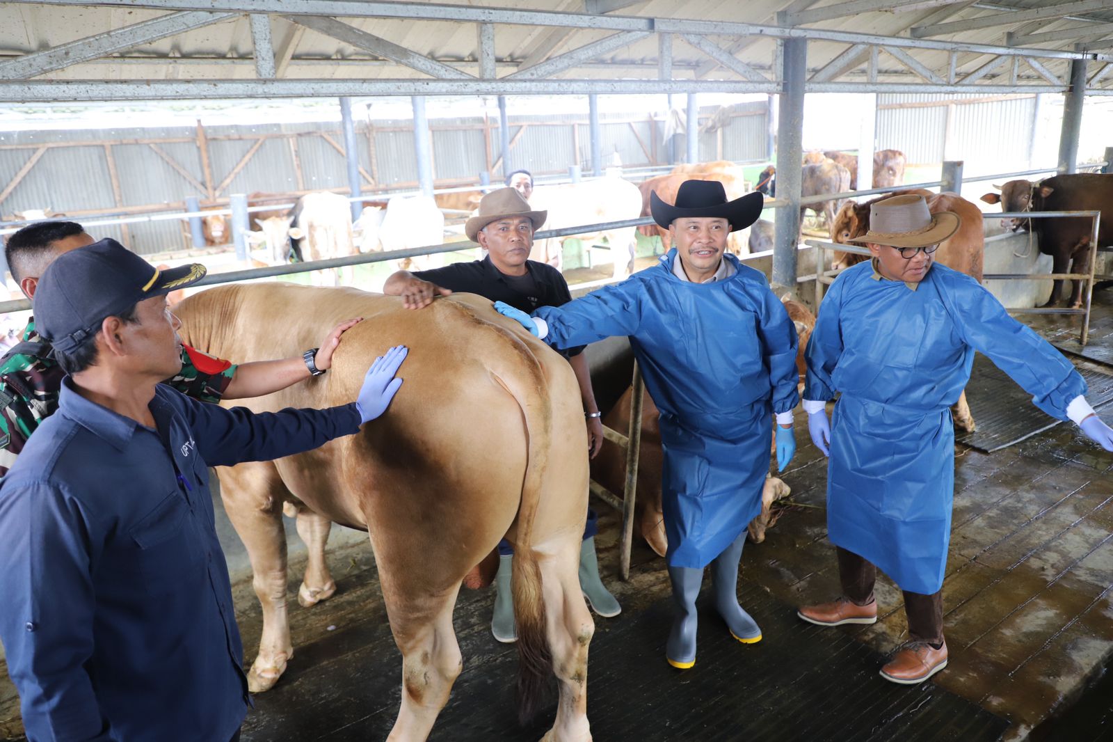 Pemerintah Daerah Pastikan Hewan Kurban Di Garut Layak Dan Sehat
