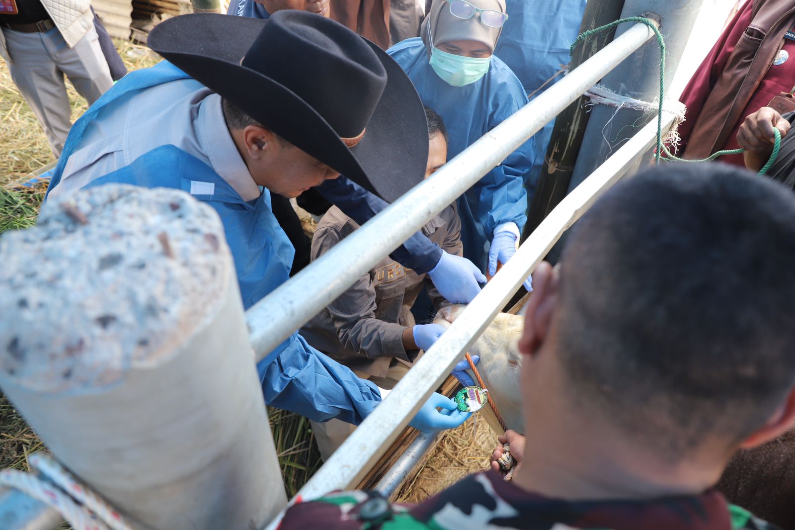 Pemerintah Daerah Pastikan Hewan Kurban Di Garut Layak Dan Sehat