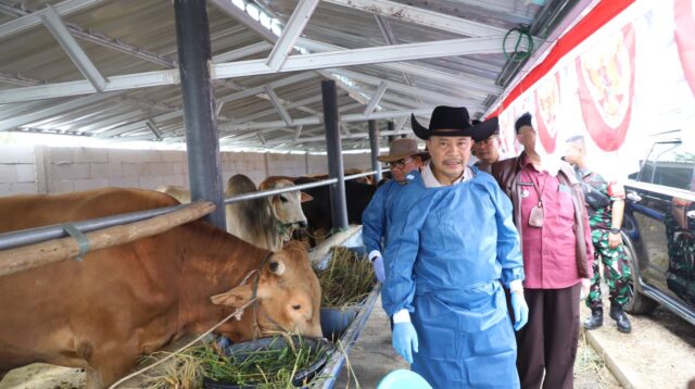 Pemerintah Daerah Pastikan Hewan Kurban Di Garut Layak Dan Sehat
