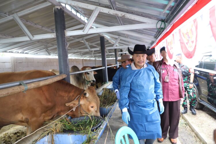 Pemerintah Daerah Pastikan Hewan Kurban Di Garut Layak Dan Sehat