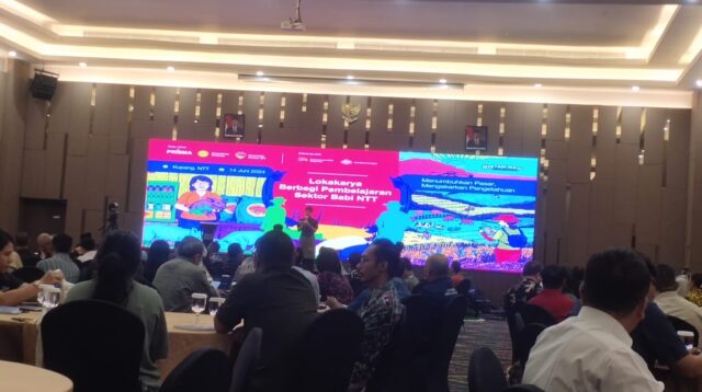 Pemprov NTT dan PRISMA Berhasil Menggerakkan Revolusi Pemulihan Sektor Babi di Lokakarya Berbagi Pembelajaran