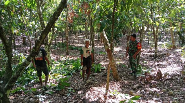 Melalui Komsos, Babinsa Koramil 04/Tabundung Mengajak Warga Binaan Untuk Memanfaatkan Lahan Kosong