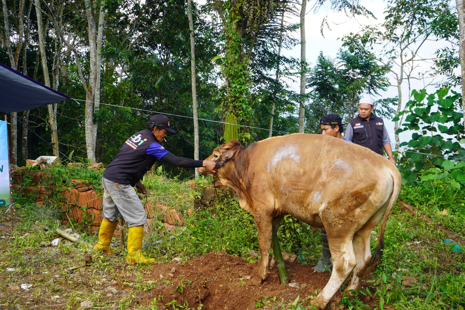 Qurban Menguatkan: HBI Bawa Keberkahan Idul Adha ke Pelosok Priangan Timur Jawa Barat