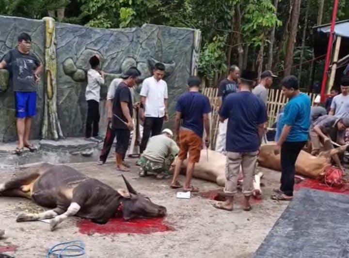 Perayaan Idul Adha 1445 H di Desa Tanjung Jati: Momen Silaturahmi dan Gotong Royong Kental Terjalin Perayaan Idul Adha 1445 H di Desa Tanjung Jati: Momen Silaturahmi dan Gotong Royong Kental Terjalin