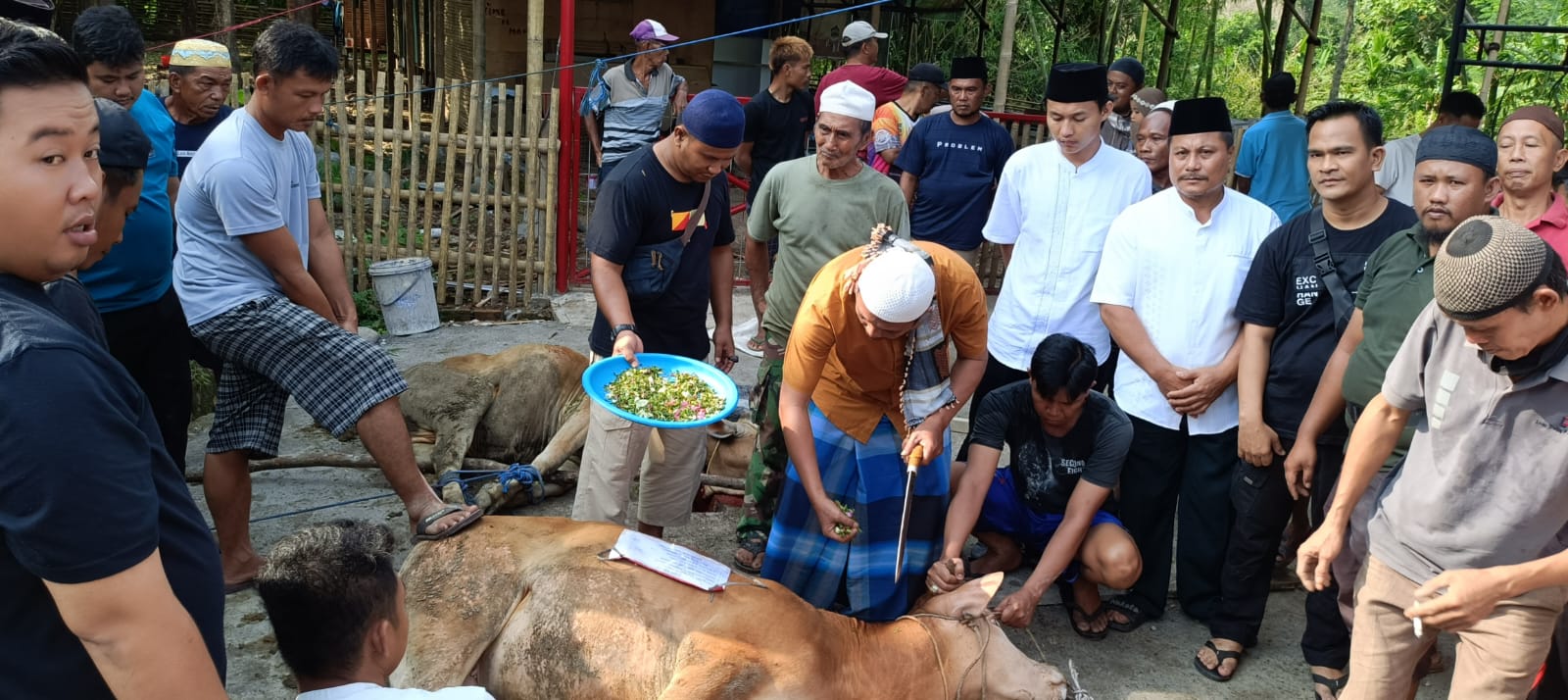 Perayaan Idul Adha 1445 H di Desa Tanjung Jati: Momen Silaturahmi dan Gotong Royong Kental Terjalin