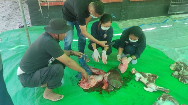 Momen Idul Adha 1445 H, Polres Mabar Sembelih 2 Ekor Sapi dan 11 Ekor Kambing Qurban