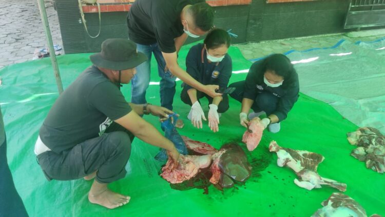 Momen Idul Adha 1445 H, Polres Mabar Sembelih 2 Ekor Sapi dan 11 Ekor Kambing Qurban