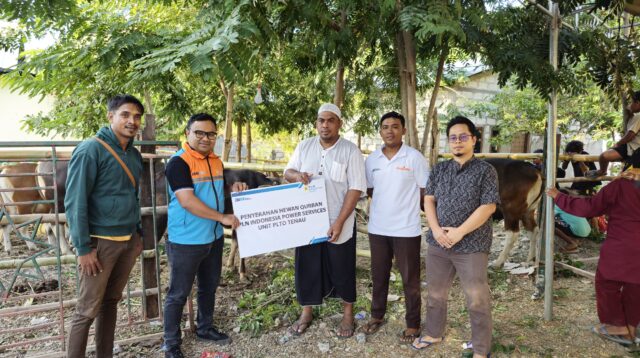 Berbagi Kebahagiaan di Hari Raya Idul Adha: PT PLN Indonesia Power Services Unit PLTD Tenau Sumbang 2 Ekor Sapi