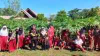 Kepsek Beserta Guru SDN Sukajaya Menggelar Acara Berkebun Kepada Anak Didik nya