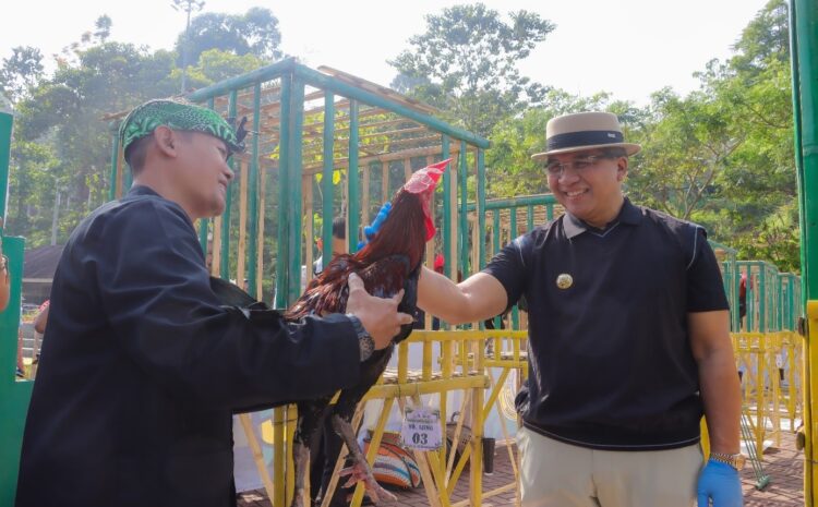 Pj. Walikota Cimahi Buka Kontes Ayam Pelung Gema Lokananta II Tingkat Kota/Kabupaten 