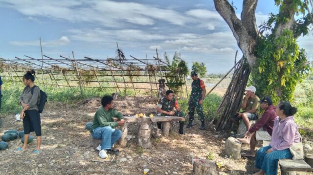 Peduli Dengan Petani Hortikultura, Babinsa Lewa Sambangi Petani Melon