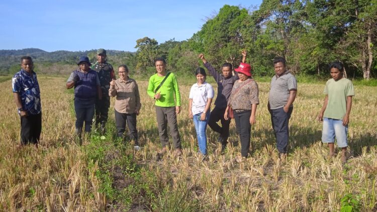 Babinsa Lewa Mendampingi Dinas Pertanian Kabupaten Sumba Timur Melaksanakan Survey Pompanisasi Di Desa