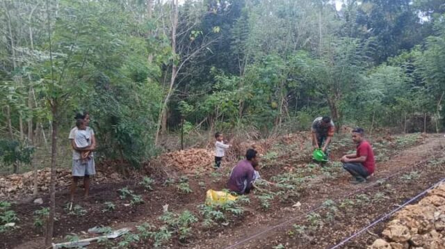 Babinsa Motivasi Petani Untuk Meningkatkan Ketahanan Pangan di Wilayah