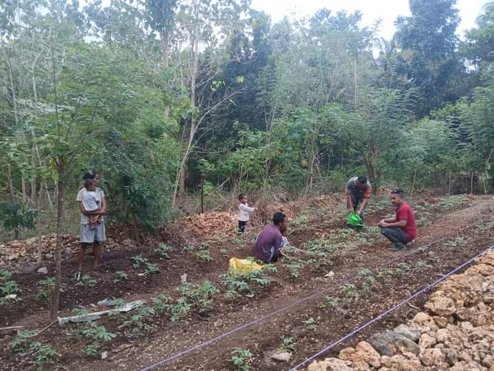 Babinsa Motivasi Petani Untuk Meningkatkan Ketahanan Pangan di Wilayah