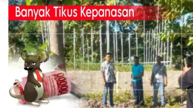 Tipikor Polda NTT Turun Ke Lokasi  Tinjau Proyek Rumah Bantuan Seroja Malaka