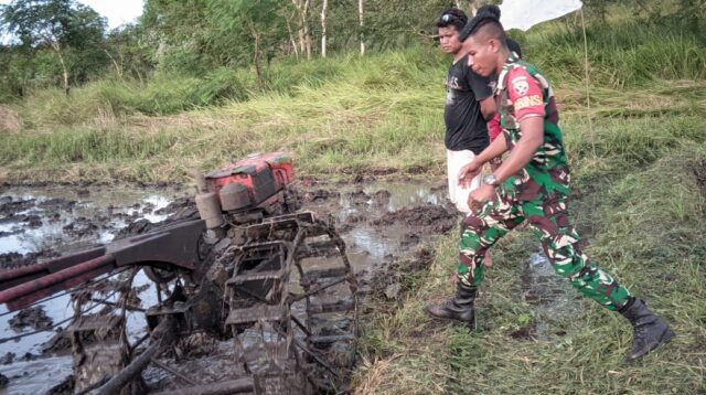 Babinsa Pahunga Lodu Membantu Masyarakat Binaannya Menggarap Lahan Sawah