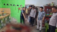 Polres Tanggamus Olah TKP Anirat Sebabkan Dua Korban Meninggal di Pugung