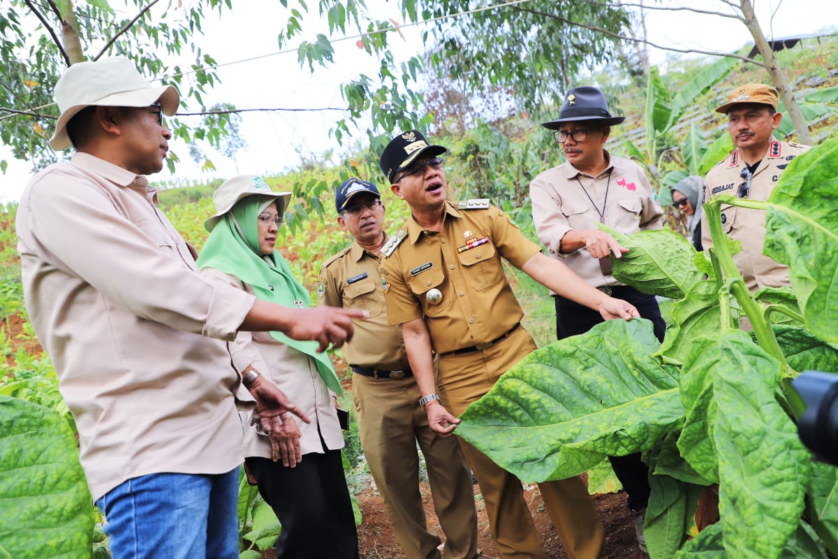 Kang DS Ajak Masyarakat Ramaikan Gebyar Perbenihan Tanaman Pangan Nasional IX