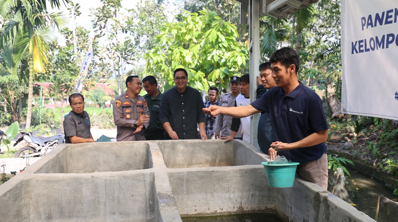 Perluas Lapangan Kerja, Bukit Asam (PTBA) Dorong Budidaya Ikan Gabus di Desa Tanjung Agung