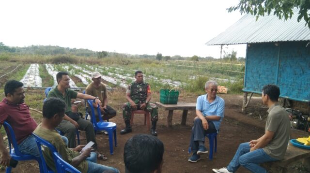 Melalui Komsos Babinsa Koramil 01/Lewa Bersama Petani Wujudkan Tanaman Holtikultura