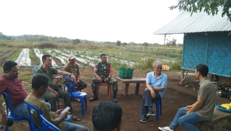 Melalui Komsos Babinsa Koramil 01/Lewa Bersama Petani Wujudkan Tanaman Holtikultura