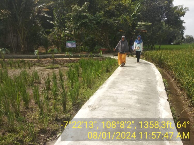 Pemdes Sukarame Optimal Realisasikan Anggaran Dana Desa Tahap II Untuk Pembangunan TPT Dan Rabat Beton Pemdes Sukarame Optimal Realisasikan Anggaran Dana Desa Tahap II Untuk Pembangunan TPT Dan Rabat Beton