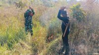 Hutan Terbakar, Babinsa Koramil 01/Lewa dan Bersama Anggota Polhut Padamkan Api Pakai Alat Seadanya