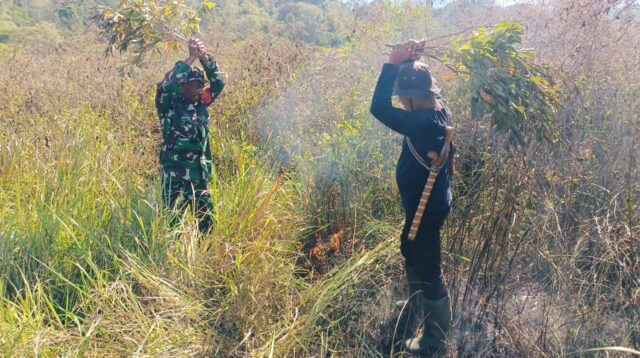 Hutan Terbakar, Babinsa Koramil 01/Lewa dan Bersama Anggota Polhut Padamkan Api Pakai Alat Seadanya