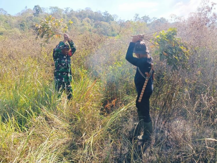 Hutan Terbakar, Babinsa Koramil 01/Lewa dan Bersama Anggota Polhut Padamkan Api Pakai Alat Seadanya