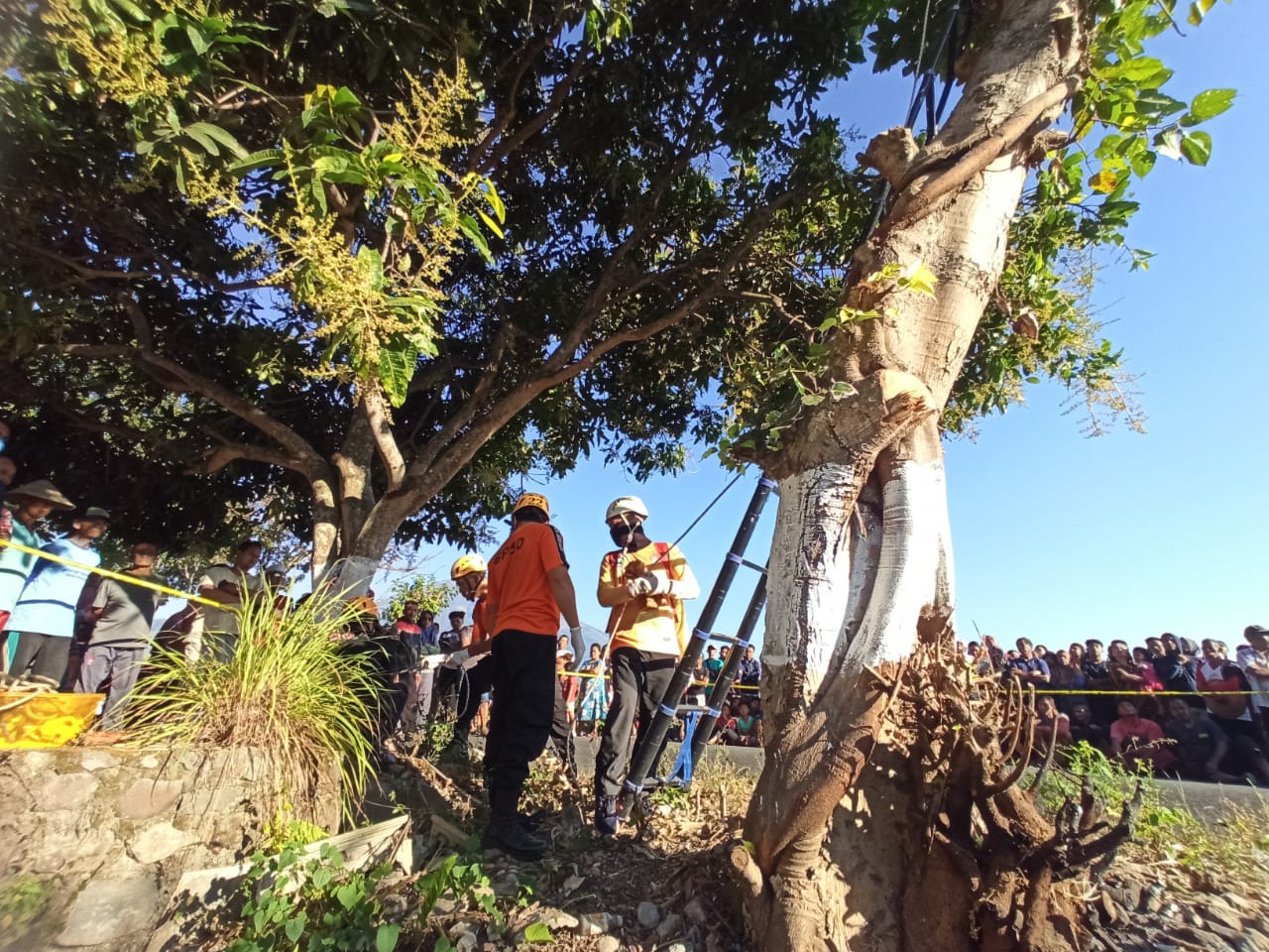 Magetan Heboh, Pria Tewas Tersengat Listrik di Atas Pohon