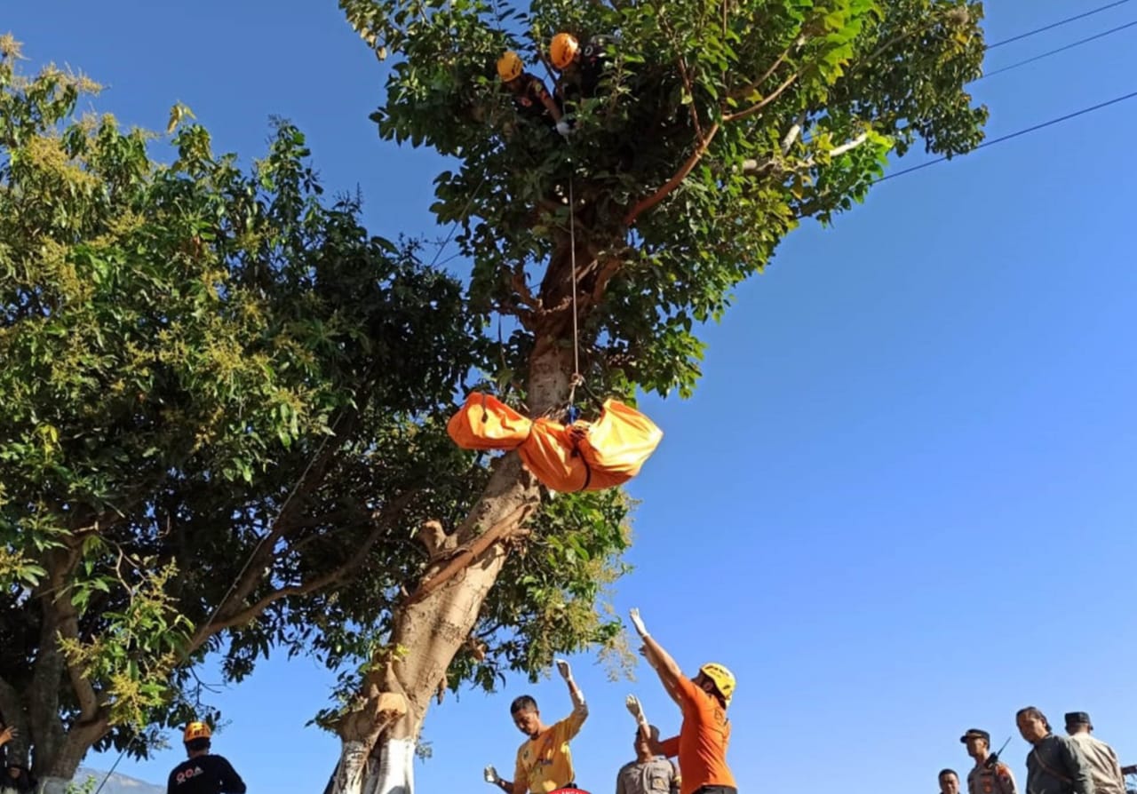 Magetan Heboh, Pria Tewas Tersengat Listrik di Atas Pohon