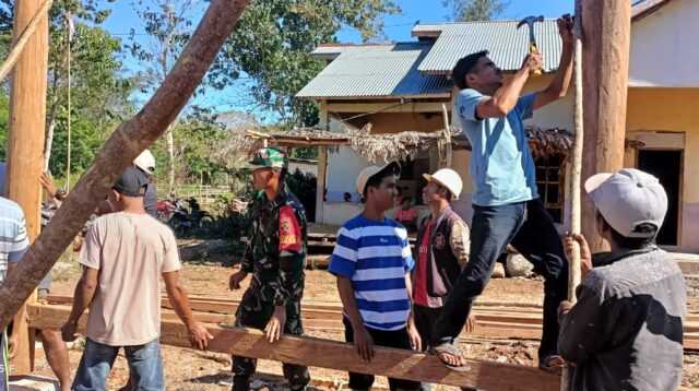 Sinergi TNI Bersama Rakyat, Babinsa Kodim 1601/Sumba Timur Bantu Bangun Rumah Warga