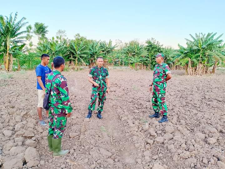 Dandim 1601/Sumba Timur Tinjau Langsung Lahan Program Ketahanan Pangan Di Kelurahan Lambanapu
