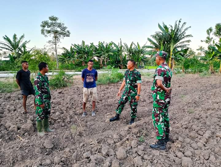 Dandim 1601/Sumba Timur Tinjau Langsung Lahan Program Ketahanan Pangan Di Kelurahan Lambanapu